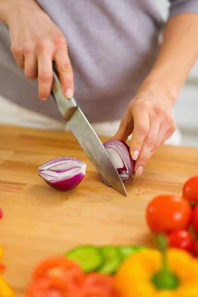 Closeup on woman cutting onion - Фото, изображение