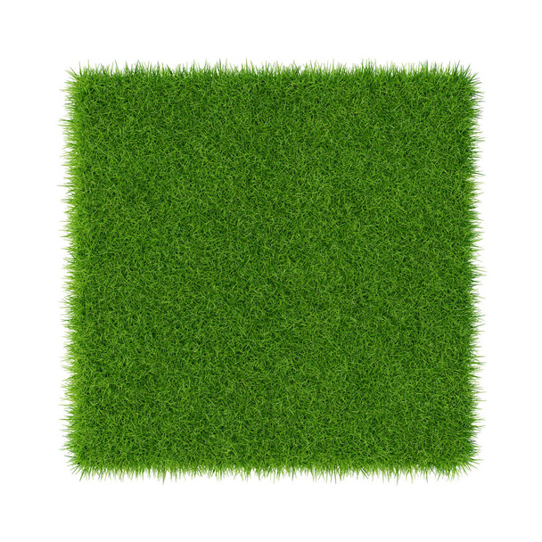 Groene gras textuur voor achtergrond. Groene gazon patroon en textuur achtergrond. Close-up. - Foto, afbeelding