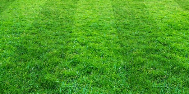 Zöld fű mező mintás háttérrel a futball és futball spo - Fotó, kép