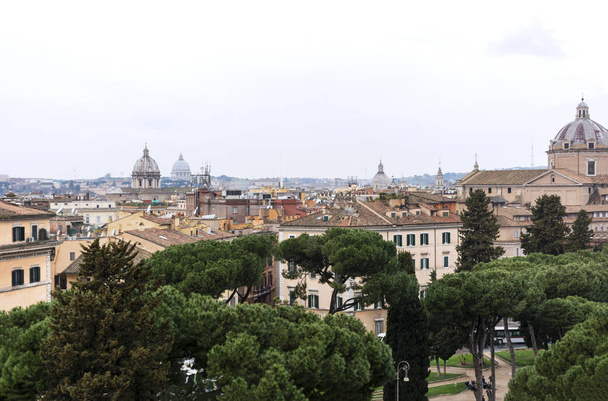 view of the city of Rome, buildings, roofs, pine on a rainy day  - Foto, afbeelding