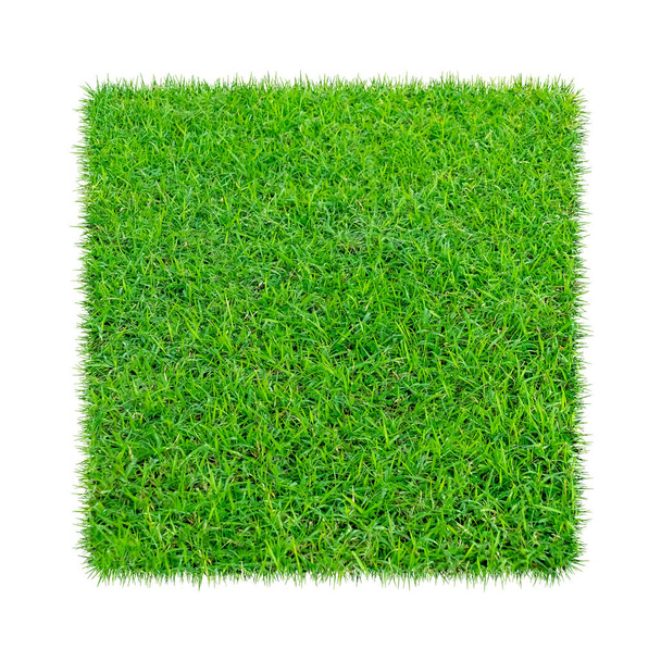 Texture herbe verte pour le fond. Modèle de pelouse verte et fond de texture. Gros plan. - Photo, image