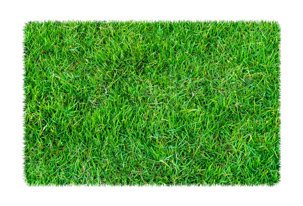 grünes Gras. natürliche Textur Hintergrund. frisches frühlingsgrünes Gras. isoliert auf weißem Hintergrund mit Clipping-Pfad. - Foto, Bild