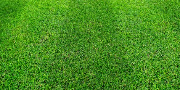 Πράσινο χόρτο πεδίο μοτίβο φόντου για ποδόσφαιρο και ποδόσφαιρο spo - Φωτογραφία, εικόνα