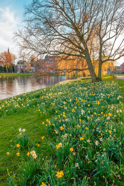 Scenery of spring blooms in park by canal water, Leiden, Netherlands. - Foto, Imagem