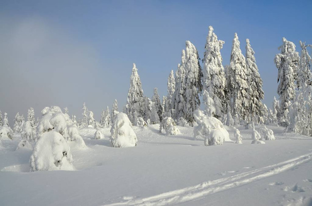 Χιονισμένο τοπίο στα βουνά Ore Klinovec Τσεχίας - Φωτογραφία, εικόνα