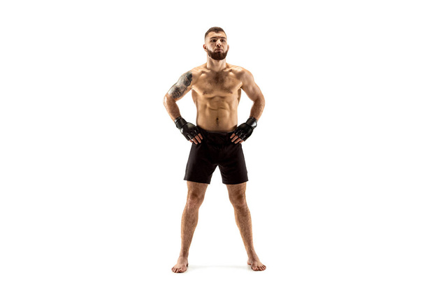 professional fighter boxing isolated on white studio background - Photo, image