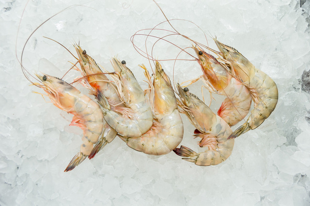 Fresh Shrimp in the ice from Ecuador - Фото, изображение