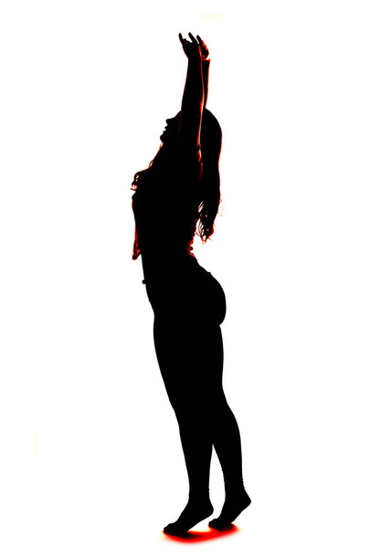 Profile and silhouette of a plus size model - Foto, imagen