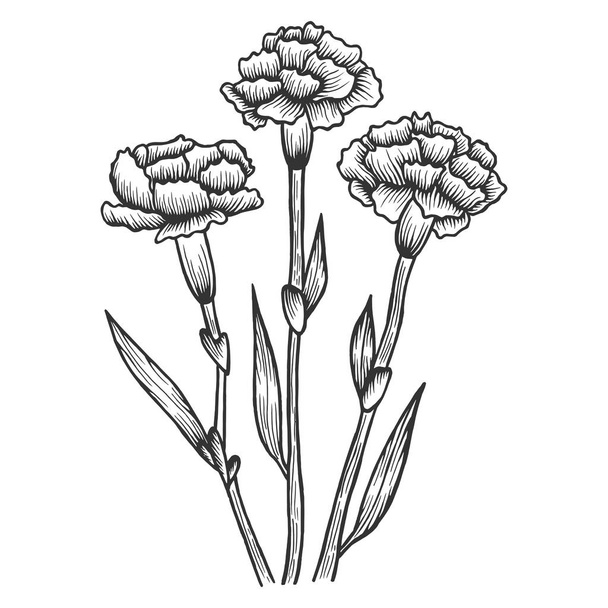 Dianthus carnation flowers sketch engraving vector illustration. Scratch board style imitation. Hand drawn image. - Vector, imagen
