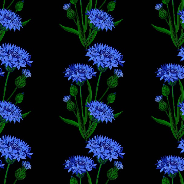 Cornflower floral seamless background isolated on the black - Vector, Image