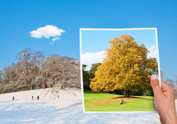 Memorable picture autumn vs winter - Photo, Image