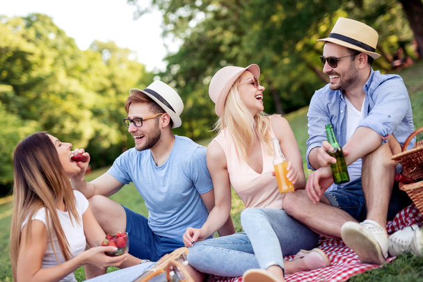 Ryhmä ystäviä nauttii piknik aikaa puistossa
. - Valokuva, kuva
