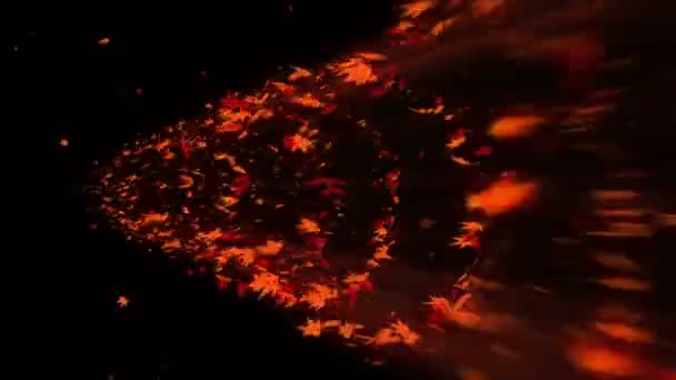 Vortex from colorful maple and leaves. Spiral shiny particle of autumn leaves. Dancing leaf. Colorful nature tunnel loop animation. - Materiał filmowy, wideo