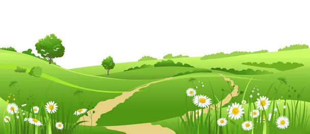 Paysage estival pour bannière design, herbe verte et ciel bleu
   - Vecteur, image