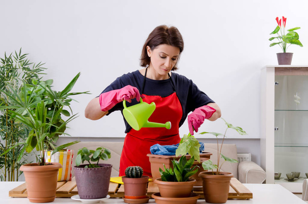 Jardinier femelle avec plantes à l'intérieur
 - Photo, image