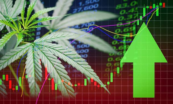 Business marijuana leaves cannabis stock success market price gr - Photo, Image