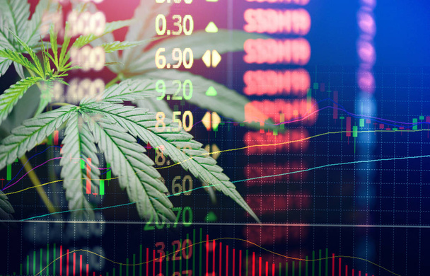 La marijuana business lascia il mercato azionario della cannabis
  - Foto, immagini