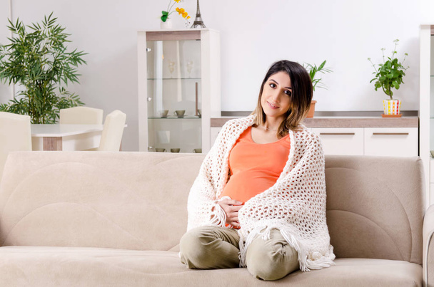 Young pregnant woman at home - Photo, Image