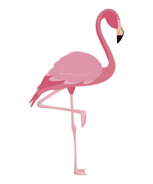 ícone de pássaro flamingo elegante
 - Vetor, Imagem