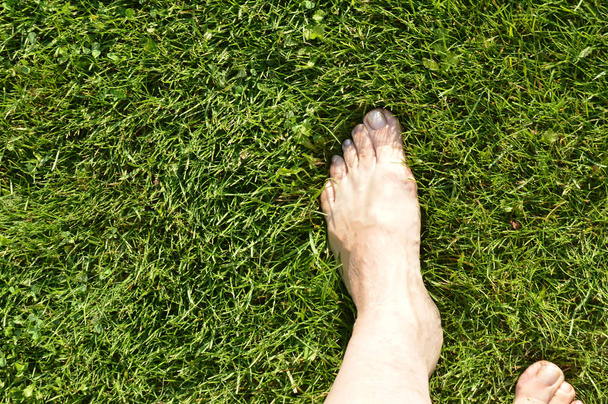 Όμορφη γυναικεία πόδια στέκεται ξυπόλητη στο πράσινο γρασίδι, έννοια της οικολογίας - Φωτογραφία, εικόνα