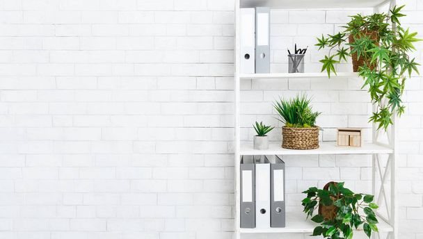 Stand with house plants and folders, copy space - Photo, Image