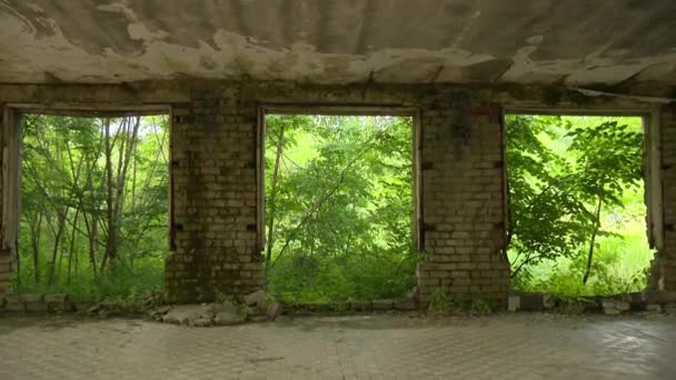 Ruinen eines verlassenen Backsteinhauses und Bäume, die im Freien wachsen. - Filmmaterial, Video