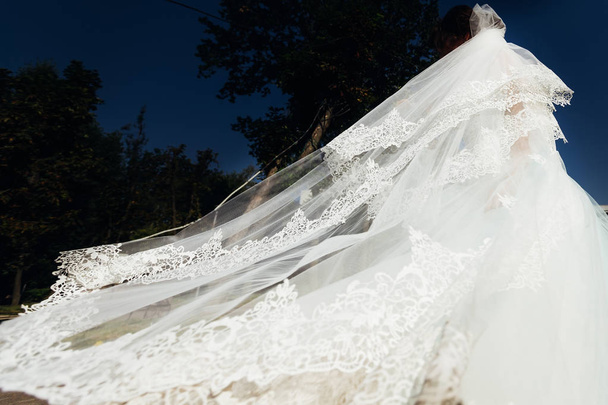 Крупный план свадебной вуали и свадебного платья с кружевами. невеста на - Фото, изображение