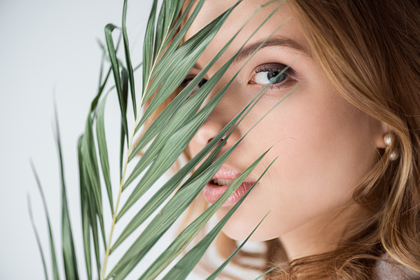 pretty woman looking at camera through palm leaf on white  - 写真・画像