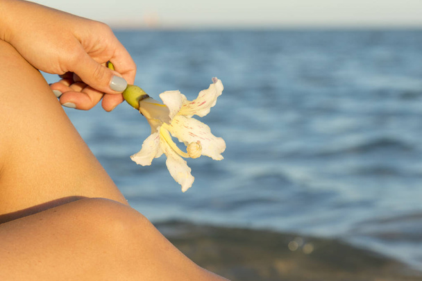 Witte bloemen frangipani in handen van de vrouw tegen de zee strand en blauwe hemel. Tropische bloem Plumeria op het strand. Achtergrond van de zee. Concept-reizen en vakantie. - Foto, afbeelding