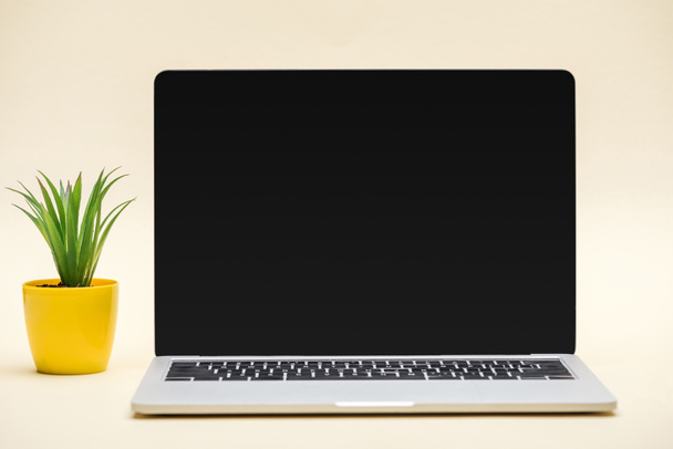 laptop with blank screen and green plant on beige background - Photo, Image
