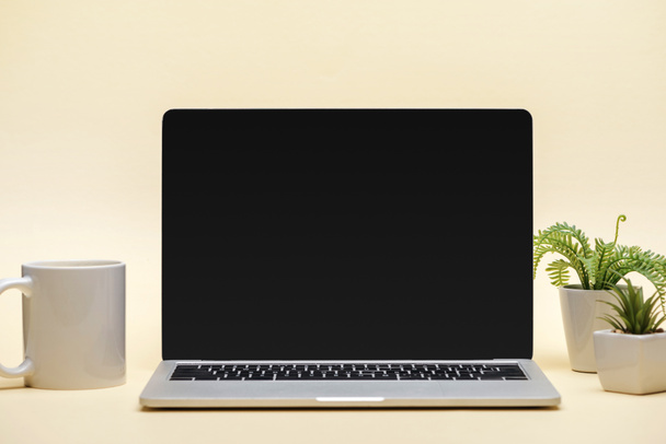 laptop-val üres képernyő, a kupa és a zöld növények a bézs háttér - Fotó, kép