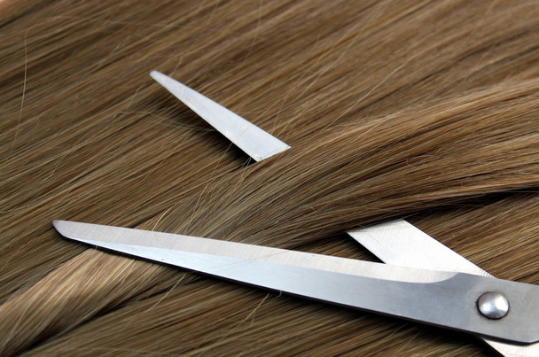 Strand of hair lie with scissors to cut - 写真・画像