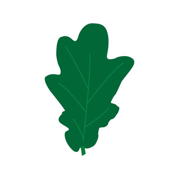 Zielone liście dębu, izolowana na białym tle. Płaski - Wektor, obraz