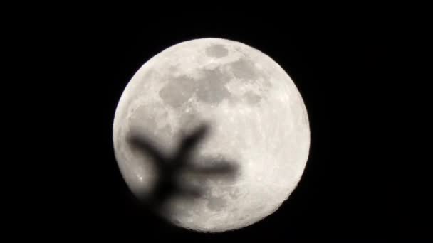 small branch in front of full moon - Footage, Video