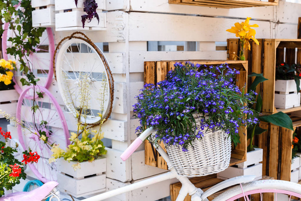Kimppu monia pieniä pieniä sinisiä kukkia paju polkupyörän kori, kavennus
 - Valokuva, kuva