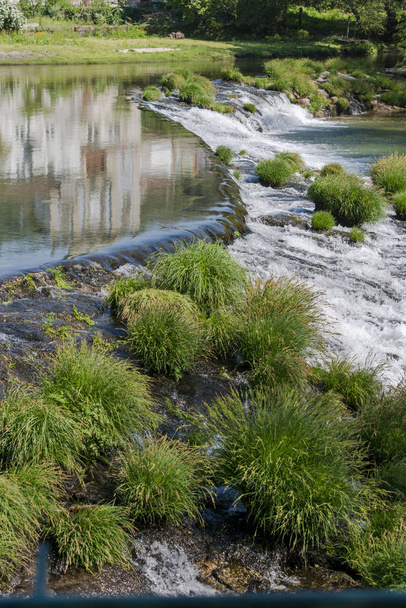 пышные зеленые кусты в каскадной реке
 - Фото, изображение