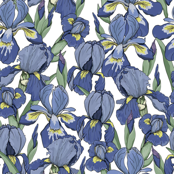 seamless pattern with iris flowers - Vector, Imagen