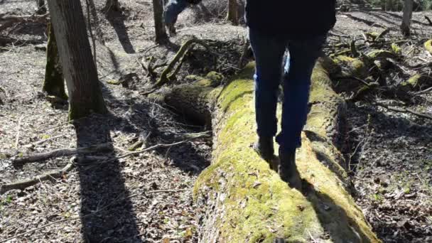 Chica desciende cuesta abajo caído musgoso árbol tronco
 - Metraje, vídeo