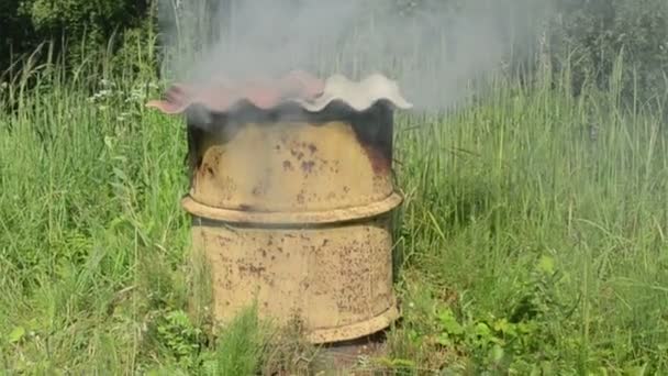 Tűzifa éget smokehouse - Felvétel, videó