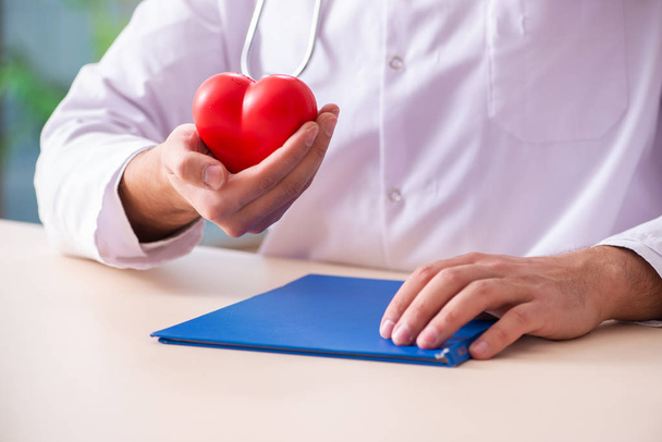 Male doctor cardiologist holding heart model - Photo, Image