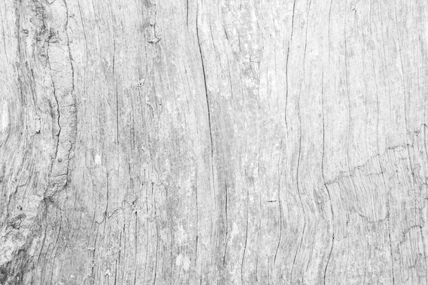 Table top view of wood texture in white light natural color back