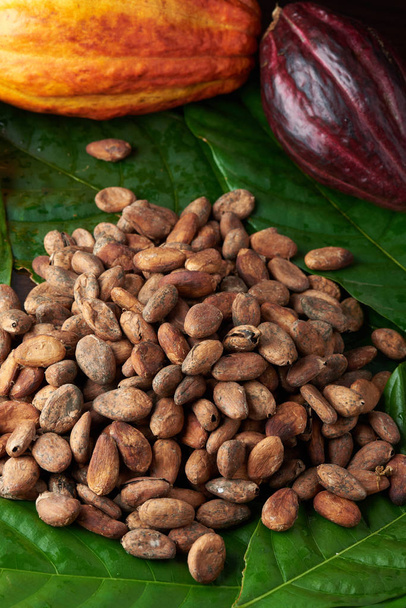Nahaufnahme von stapelweise Kakaobohnen - Foto, Bild