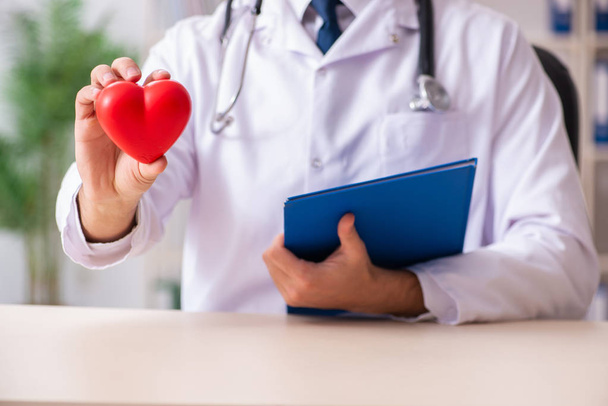 Male doctor cardiologist holding heart model - 写真・画像