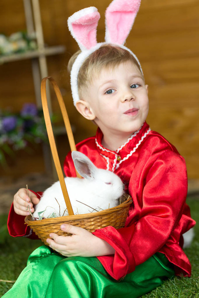 little boy plays with white Easter Bunny. on the green grass and baby bunnies, Spring Festival and birth.  - Foto, immagini