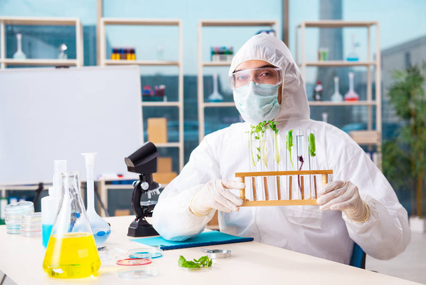 Male biotechnology scientist chemist working in the lab - Photo, Image