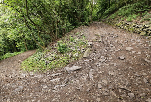 Крутая кривая лесная каменная дорога
  - Фото, изображение
