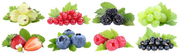 Collection of berries strawberries blueberries grapes fruits fru - Fotografie, Obrázek