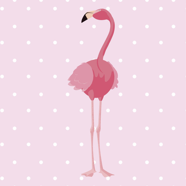 elegante flamingo pássaro pontilhado fundo
 - Vetor, Imagem