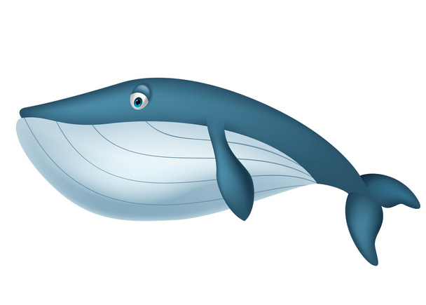 dessin animé baleine mignon - Vecteur, image