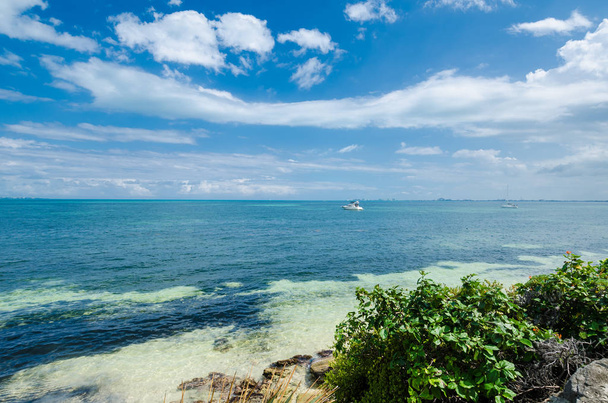 Кам'янистий пляж в Карибського узбережжя - Фото, зображення